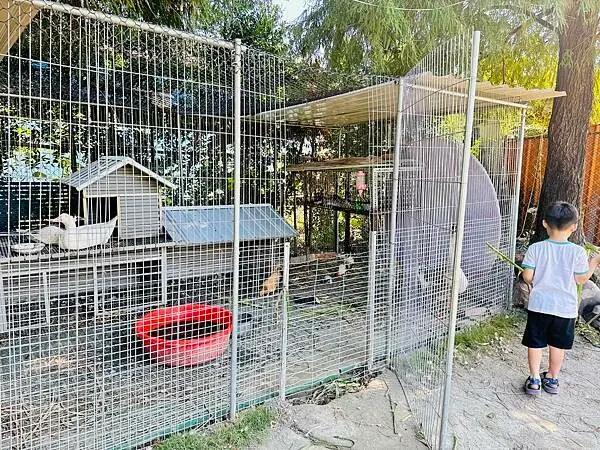 ★彰化親子景點推薦★彰化田尾最新『有樂莊園』百元門票全額抵，