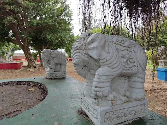 秋茂園 - 印度白象