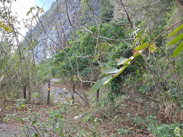 匯德步道 (清水斷崖)