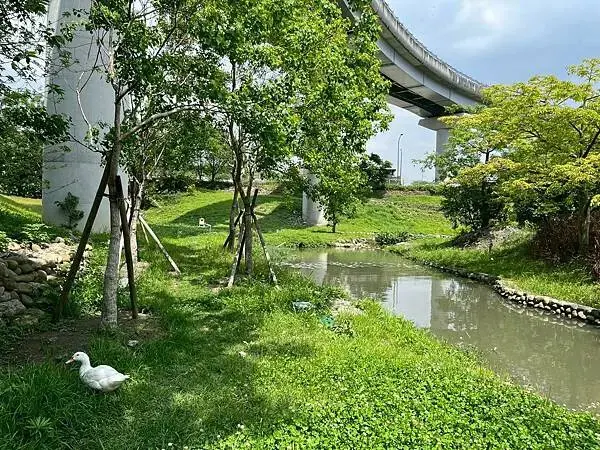 LINE_ALBUM_鶯歌_250423_360