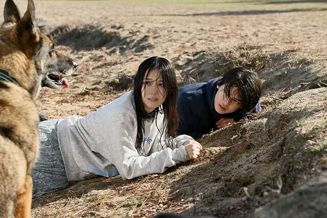 The Movie posters and stills of Japanese Movie 日本電影《少年與狗》(The Boy and the Dog) will be launching from Apr 25, 2025 onwards in Taiwan.