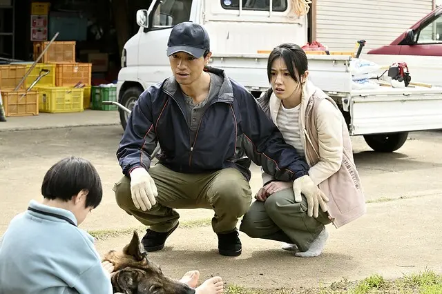 The Movie posters and stills of Japanese Movie 日本電影《少年與狗》(The Boy and the Dog) will be launching from Apr 25, 2025 onwards in Taiwan.