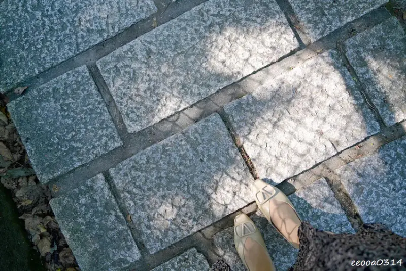 20分鐘輕鬆攻頂，「軍艦岩親山步道」好走嗎? 登山口在哪? 