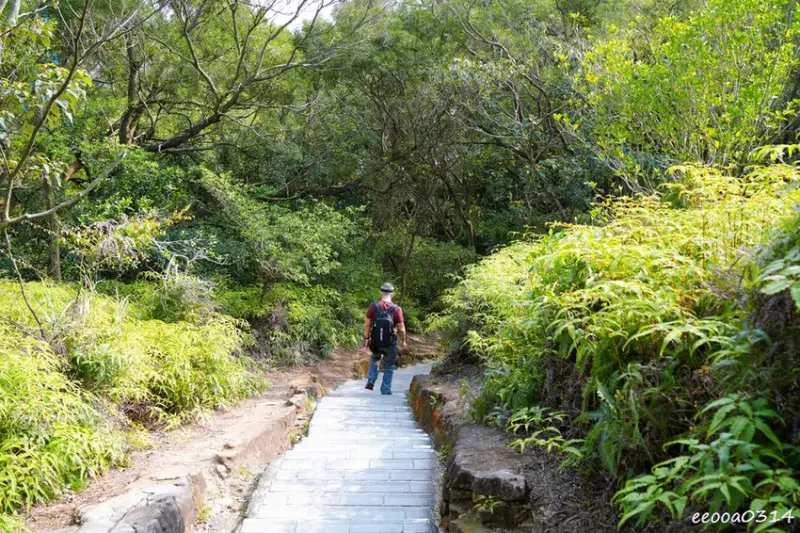 20分鐘輕鬆攻頂，「軍艦岩親山步道」好走嗎? 登山口在哪? 