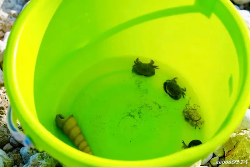 絕美柴山秘境海灘「柴山阿朗壹」，柴山隱藏版看海秘境，柴山秘境