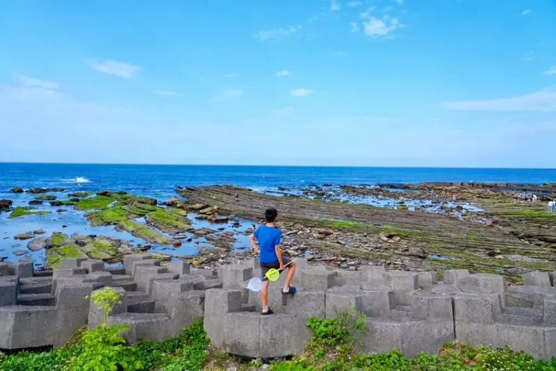 東北角親子旅遊推薦「馬崗潮間帶」生態觀察超好玩! 小螃蟹、海