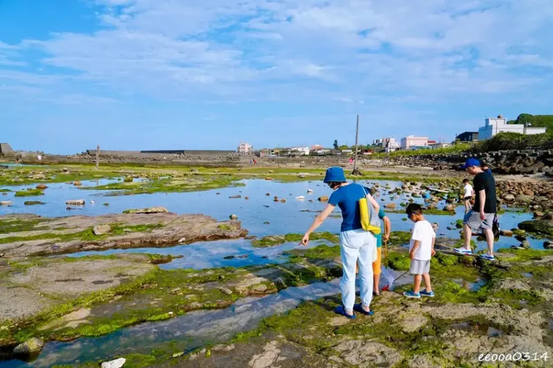 東北角親子旅遊推薦「馬崗潮間帶」生態觀察超好玩! 小螃蟹、海