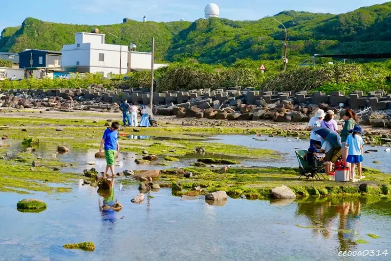 東北角親子旅遊推薦「馬崗潮間帶」生態觀察超好玩! 小螃蟹、海