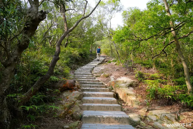 20分鐘輕鬆攻頂，「軍艦岩親山步道」好走嗎? 登山口在哪? 