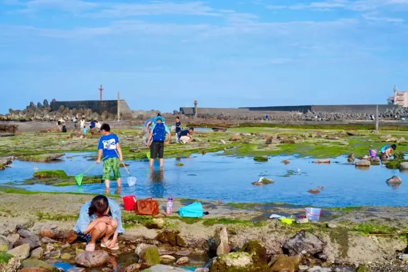 東北角親子旅遊推薦「馬崗潮間帶」生態觀察超好玩! 小螃蟹、海