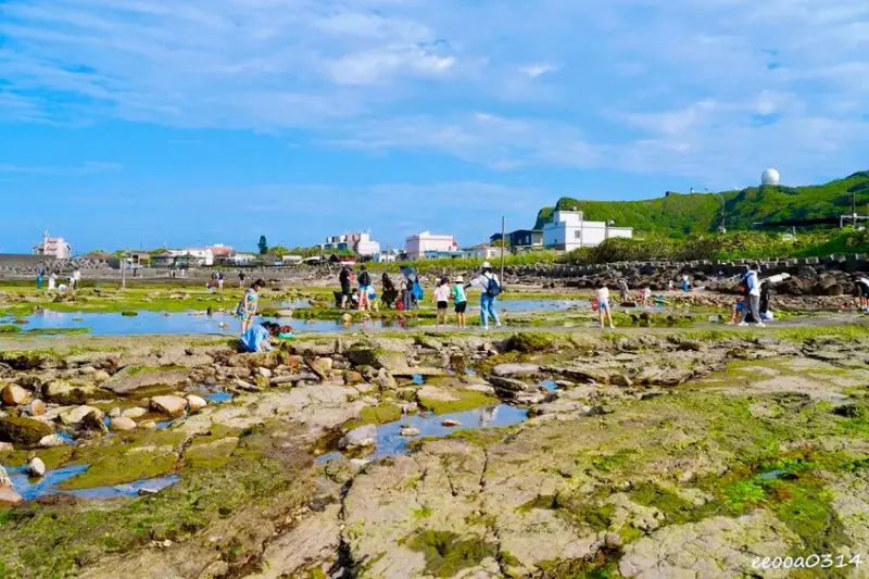 東北角親子旅遊推薦「馬崗潮間帶」生態觀察超好玩! 小螃蟹、海