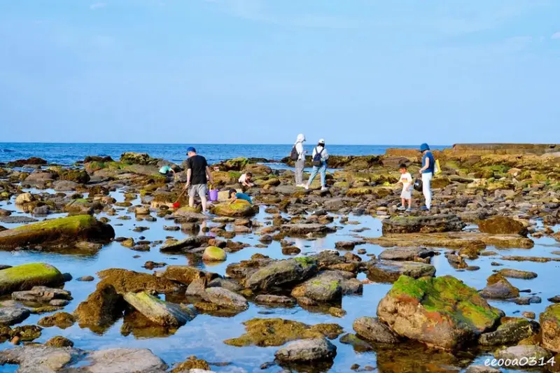 東北角親子旅遊推薦「馬崗潮間帶」生態觀察超好玩! 小螃蟹、海
