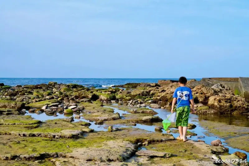 東北角親子旅遊推薦「馬崗潮間帶」生態觀察超好玩! 小螃蟹、海
