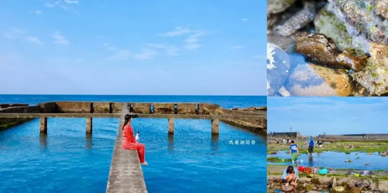 東北角親子旅遊推薦「馬崗潮間帶」生態觀察超好玩! 小螃蟹、海