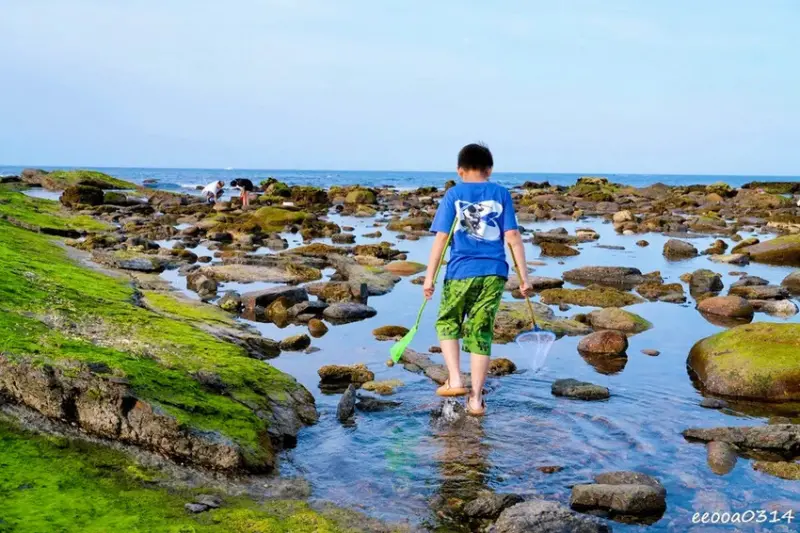 東北角親子旅遊推薦「馬崗潮間帶」生態觀察超好玩! 小螃蟹、海