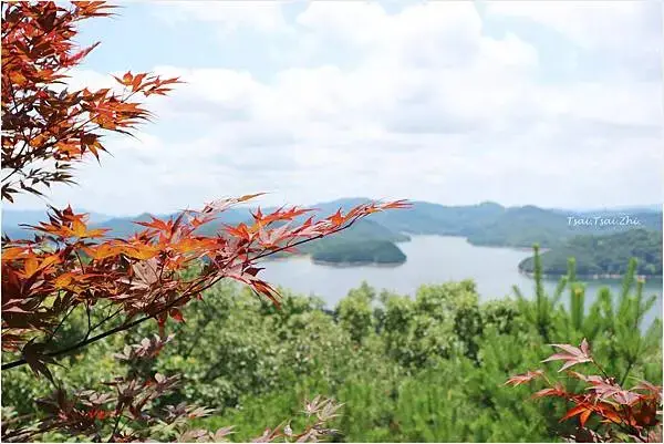 [韓國清州]青南台(청남대) |韓國總統的度假勝地！溫暖的南