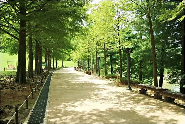 [韓國清州]青南台(청남대) |韓國總統的度假勝地！溫暖的南