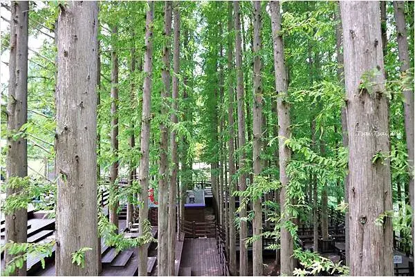 [韓國清州]青南台(청남대) |韓國總統的度假勝地！溫暖的南