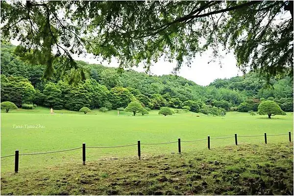 [韓國清州]青南台(청남대) |韓國總統的度假勝地！溫暖的南