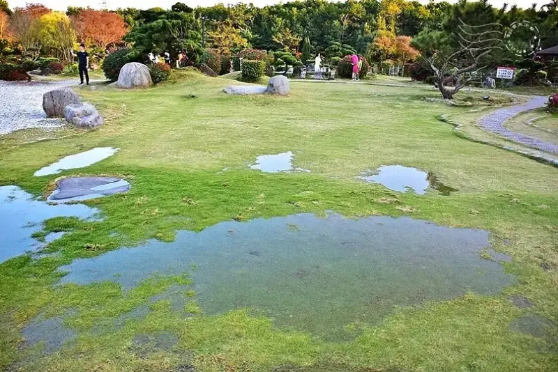 澄霖沉香味道森林館