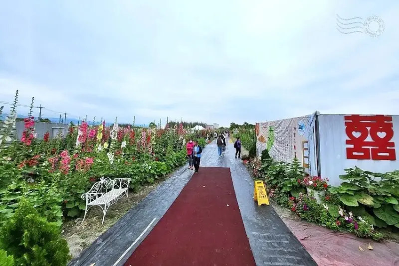 2025員林蜀葵花季