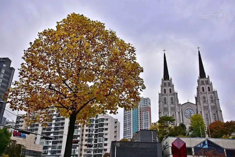 大邱第一教會新堂