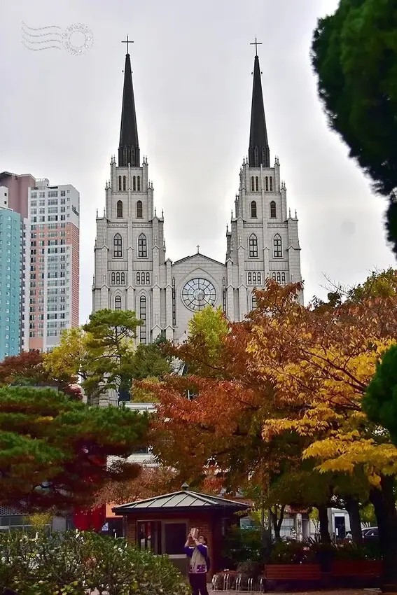 大邱【第一教會新堂】