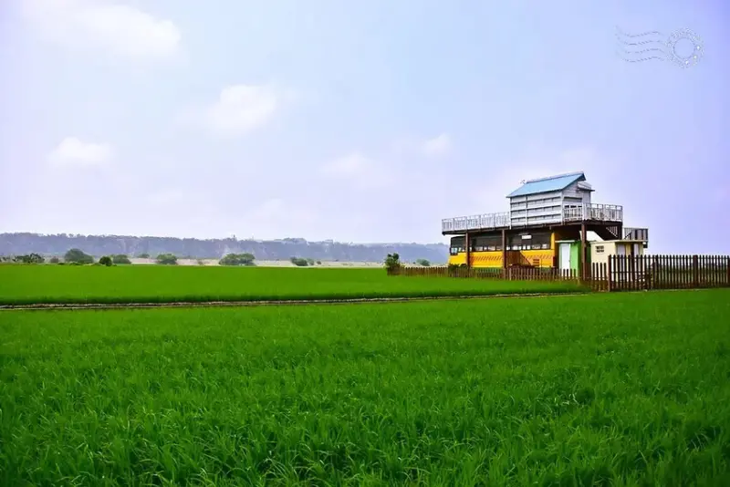 台中外埔忘憂谷