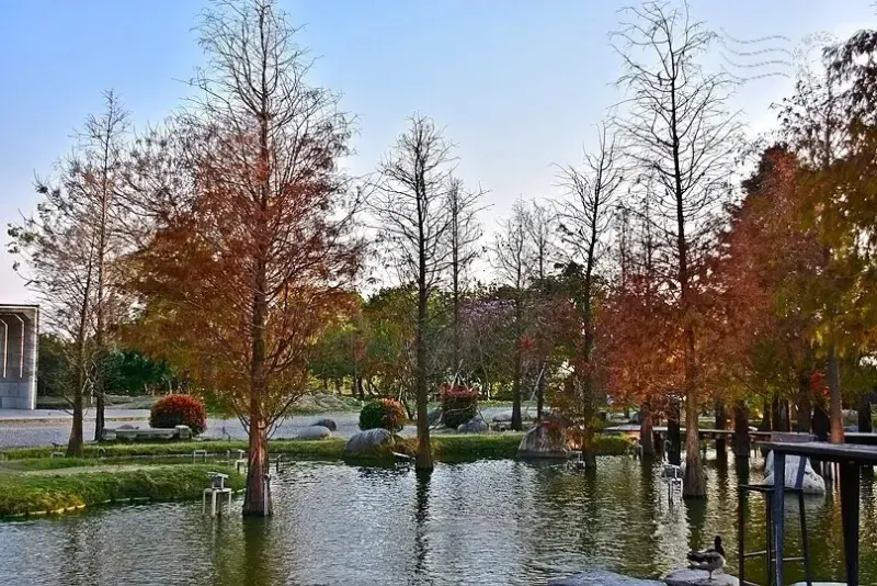 澄霖沉香味道森林館