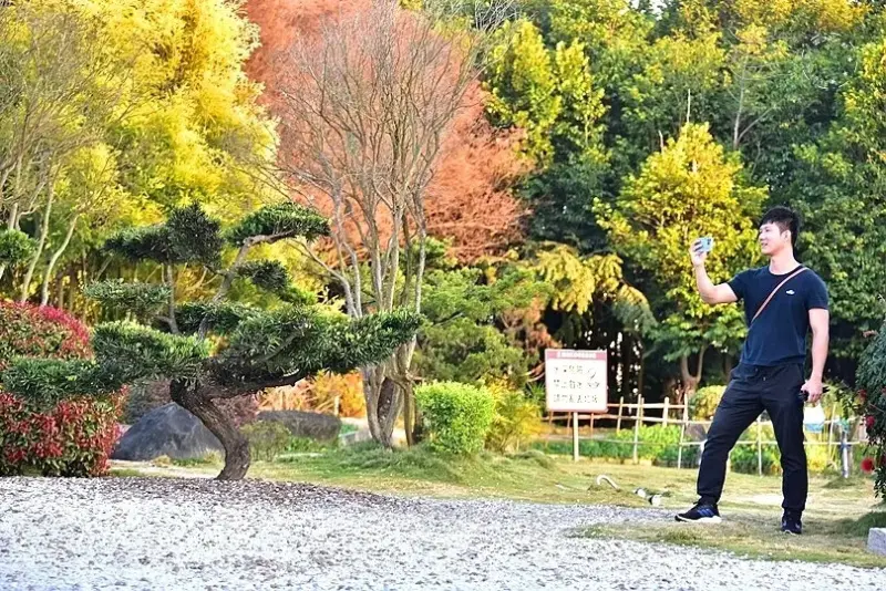 澄霖沉香味道森林館