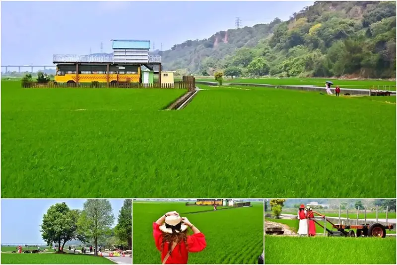 台中外埔忘憂谷