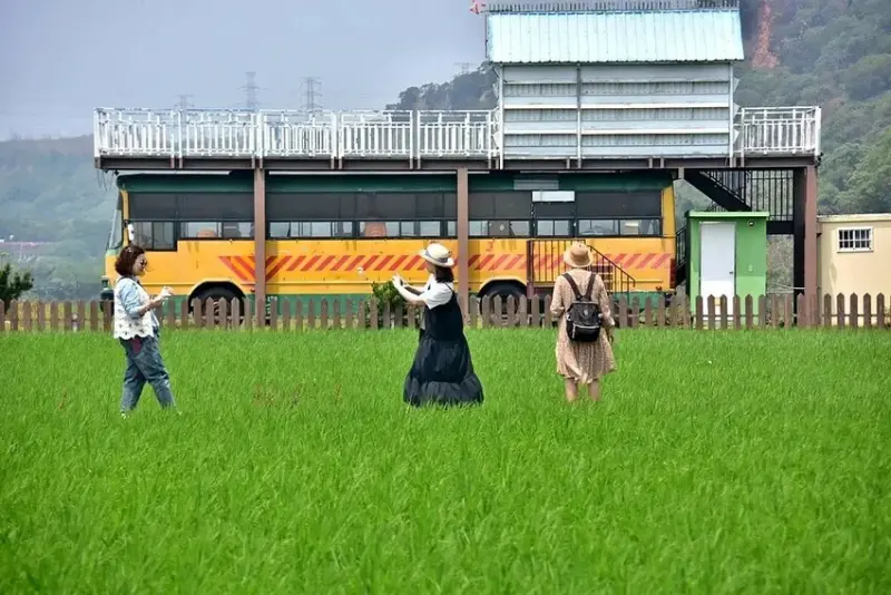 台中外埔忘憂谷