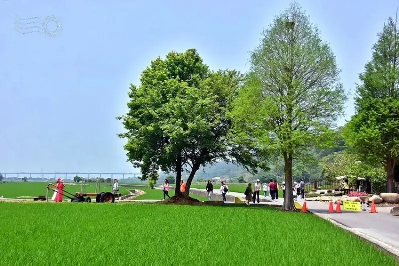 台中外埔忘憂谷