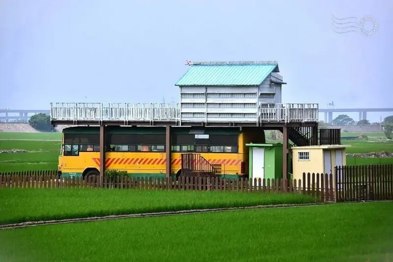 台中外埔忘憂谷