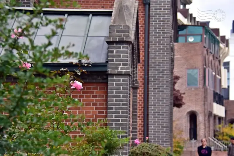 大邱【桂山聖堂】