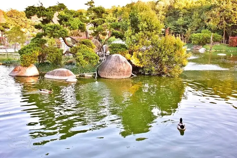 澄霖沉香味道森林館