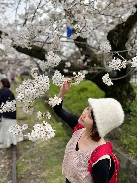 *關西大阪賞櫻，大阪城公園滿開隨記