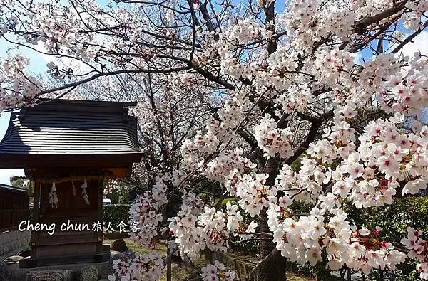 日本國寶【犬山城】最古老天守閣、城下町老街散策傳統小吃 | 