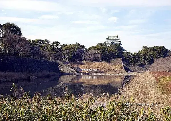 公園遠看.jpg