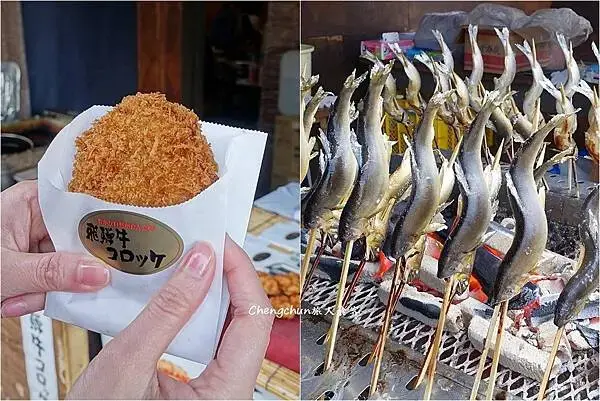 日本名古屋賞櫻，四大賞櫻景點(犬山城、名古屋城、山崎川、鶴舞