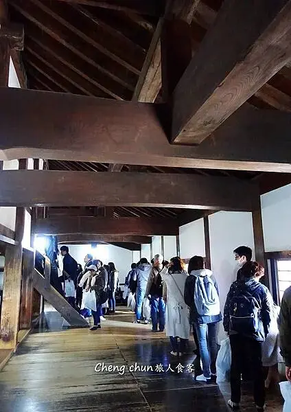 日本名古屋賞櫻，四大賞櫻景點(犬山城、名古屋城、山崎川、鶴舞