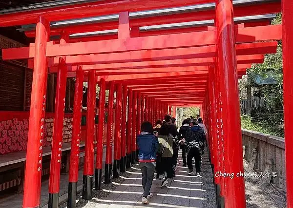 日本名古屋賞櫻，四大賞櫻景點(犬山城、名古屋城、山崎川、鶴舞