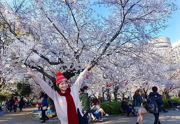 日本名古屋賞櫻，四大賞櫻景點(犬山城、名古屋城、山崎川、鶴舞
