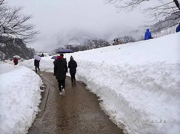 日本岐阜縣【白川鄉合掌村】走訪世界文化遺產