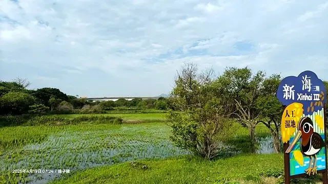 2025新月橋荷花池🪷，4/19即時現況｜同場加映：新海三期