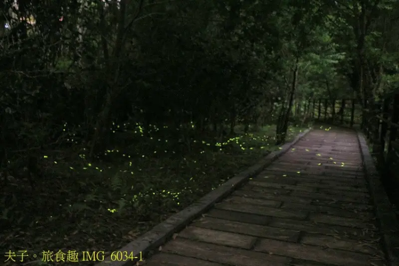 金台灣山莊 2025南投螢火蟲季 竹山鹿谷賞螢區夜訪螢河