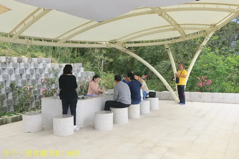 竹山山坪頂七星步道 南投觀光品茶新亮點 與茶園零距離的接觸