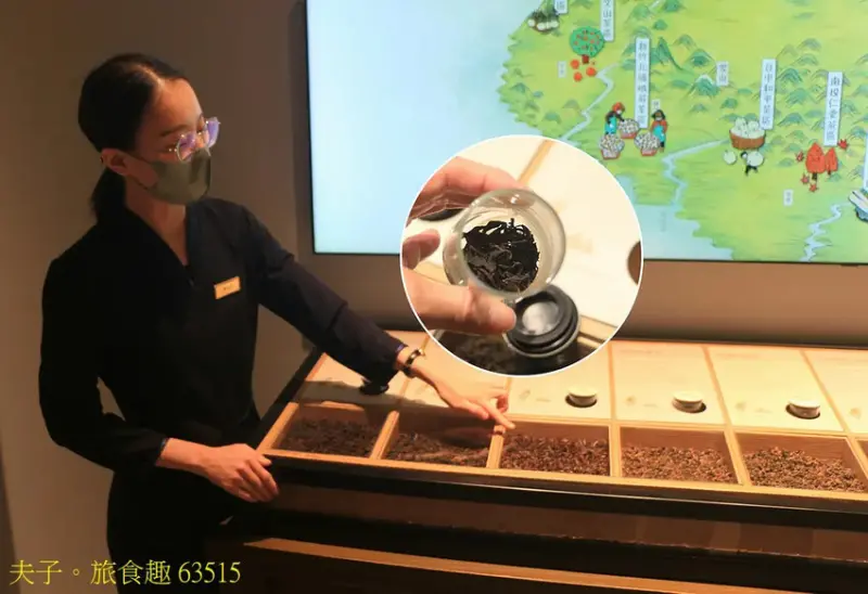 遊山茶訪茶文化館 學茶 X 品茶 南投最美的茶文化觀光工廠