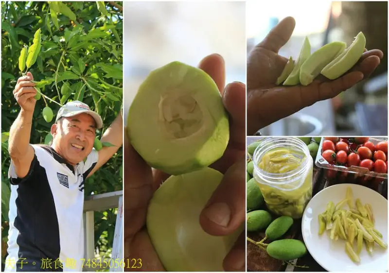 龜丹休閒體驗農園 水哥溫泉 野溪型戶外泡湯池形成特色