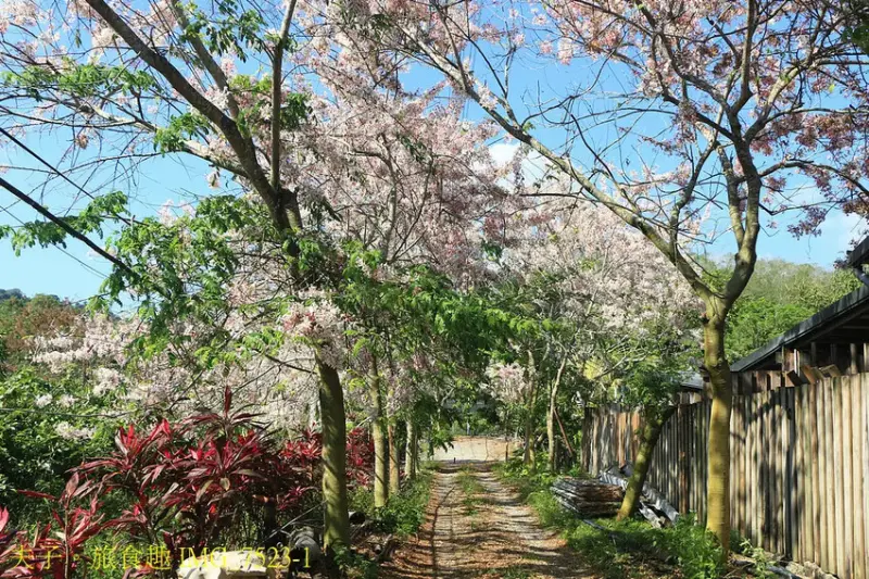 龜丹休閒體驗農園 水哥溫泉 野溪型戶外泡湯池形成特色